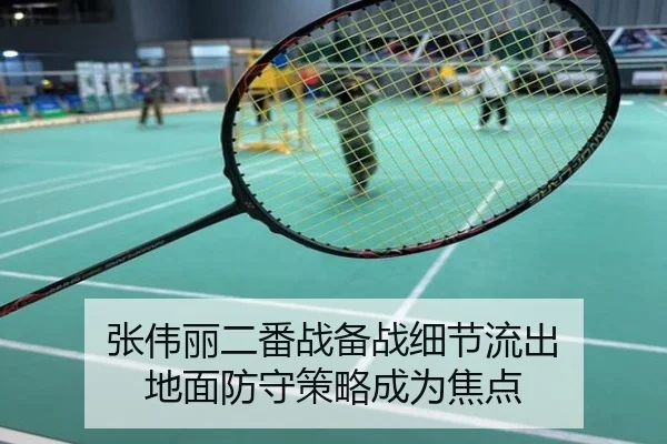 张伟丽二番战备战细节流出 地面防守策略成为焦点