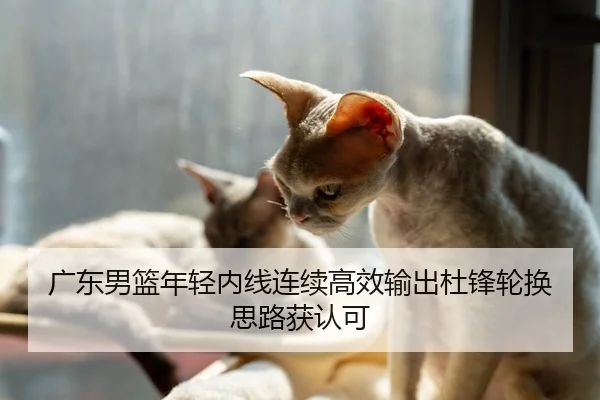 广东男篮年轻内线连续高效输出杜锋轮换思路获认可